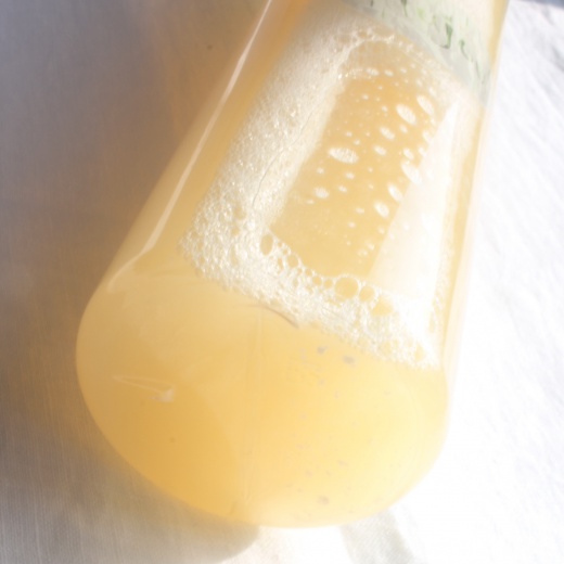 香氛胺基酸液態皂-伊蘭強健1000ml