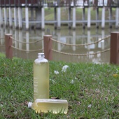 單瓶,胺基酸液態皂-500ml.頭皮屑