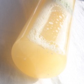 香氛胺基酸液態皂-薰衣草舒緩1000ml